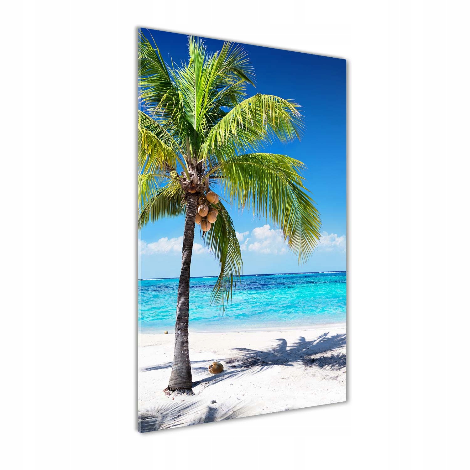 

Foto obraz szkło akrylowe Tropikalna plaża 70x140