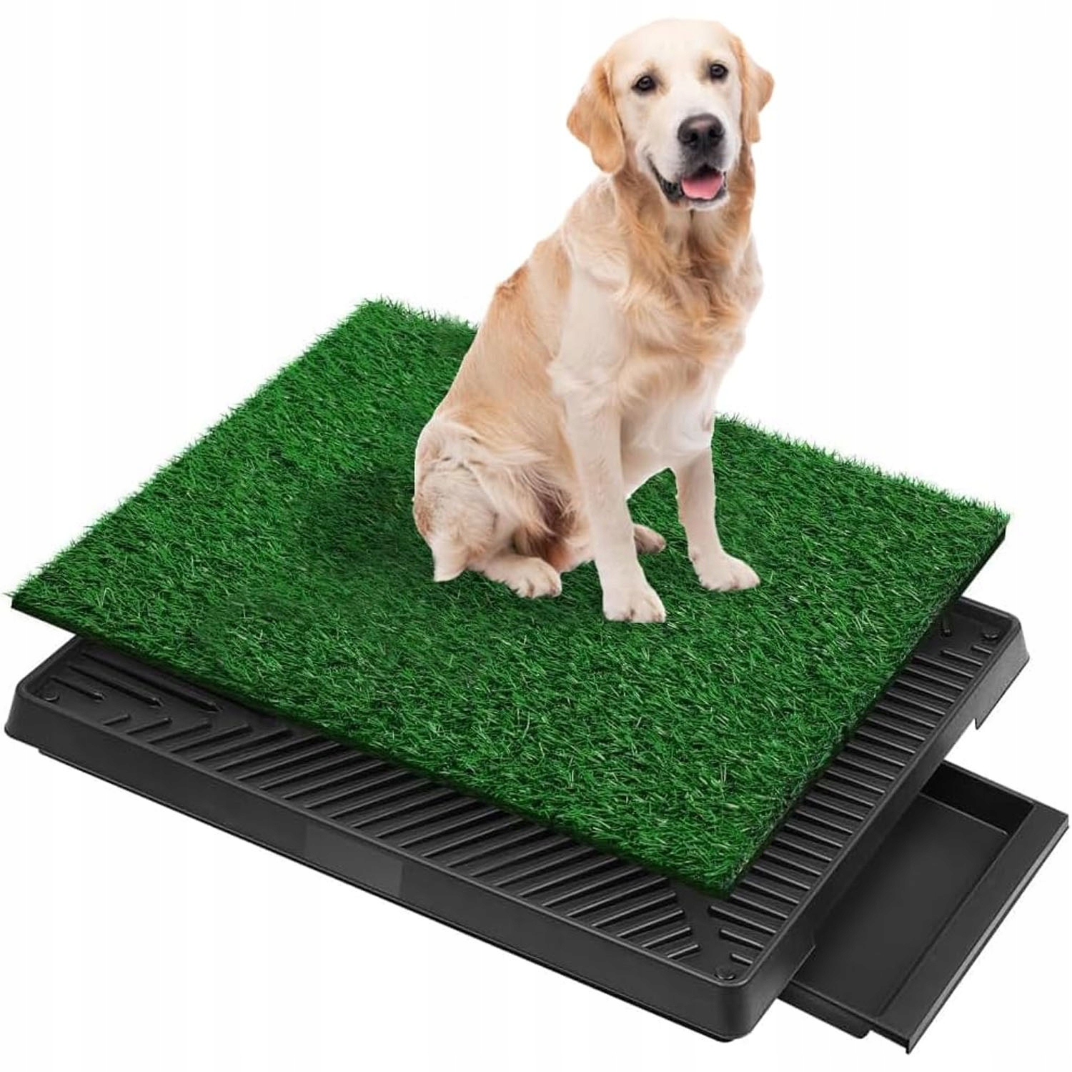 Kuweta Dla Psa Szczeniąt Podkład Sztuczna Trawa Mata Treningowa Do Nauki