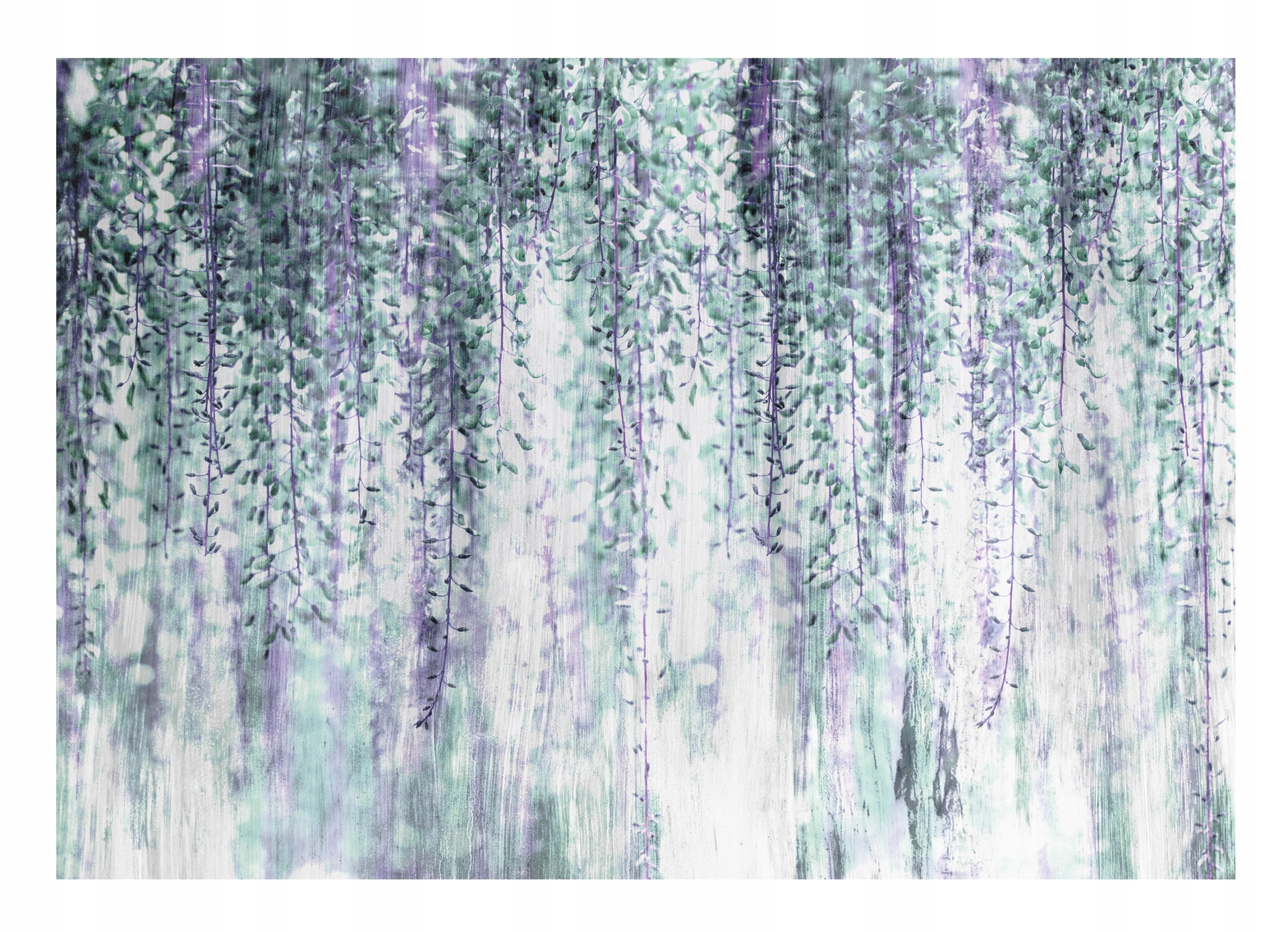 Fototapeta Wisteria Závěsné Listy Větvičky 312x219