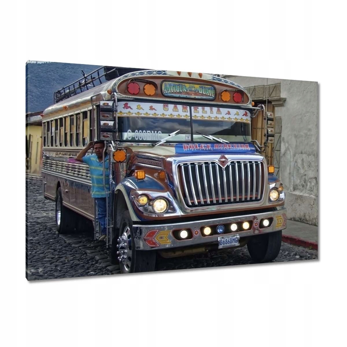 Obrazy 120x80 Autobus Užitkové vozidlo