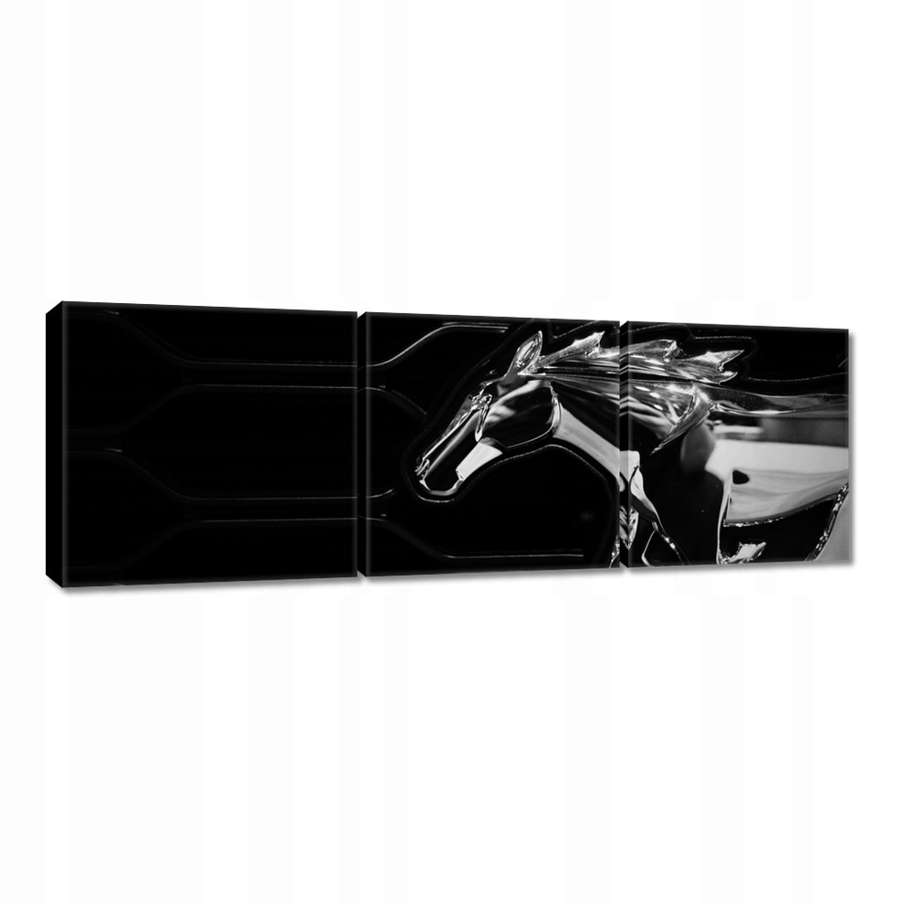 

Obrazy 120x40 Ford Mustang Samochód Usa