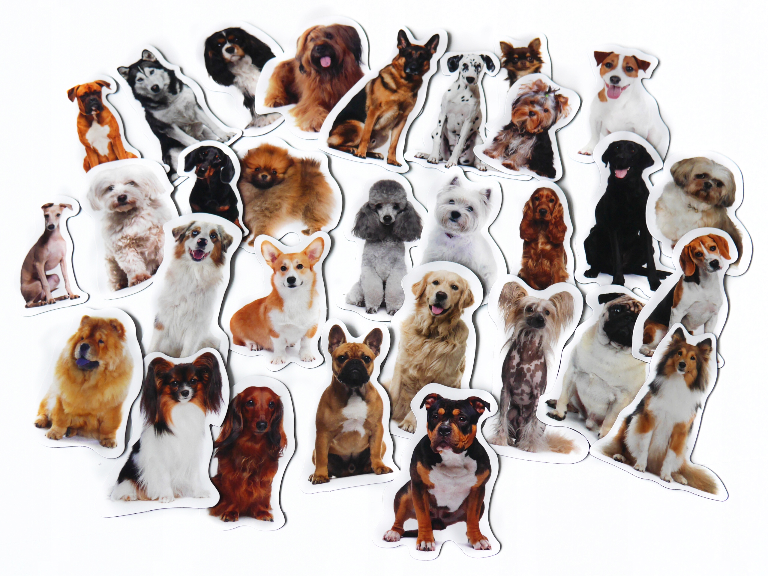 Magnesy na lodówkę poznaję RASY PSÓW