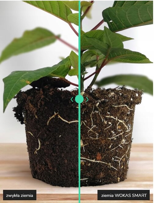 Ziemia do kwiatów balkonowych 10 litrów pH 5.5-6.8