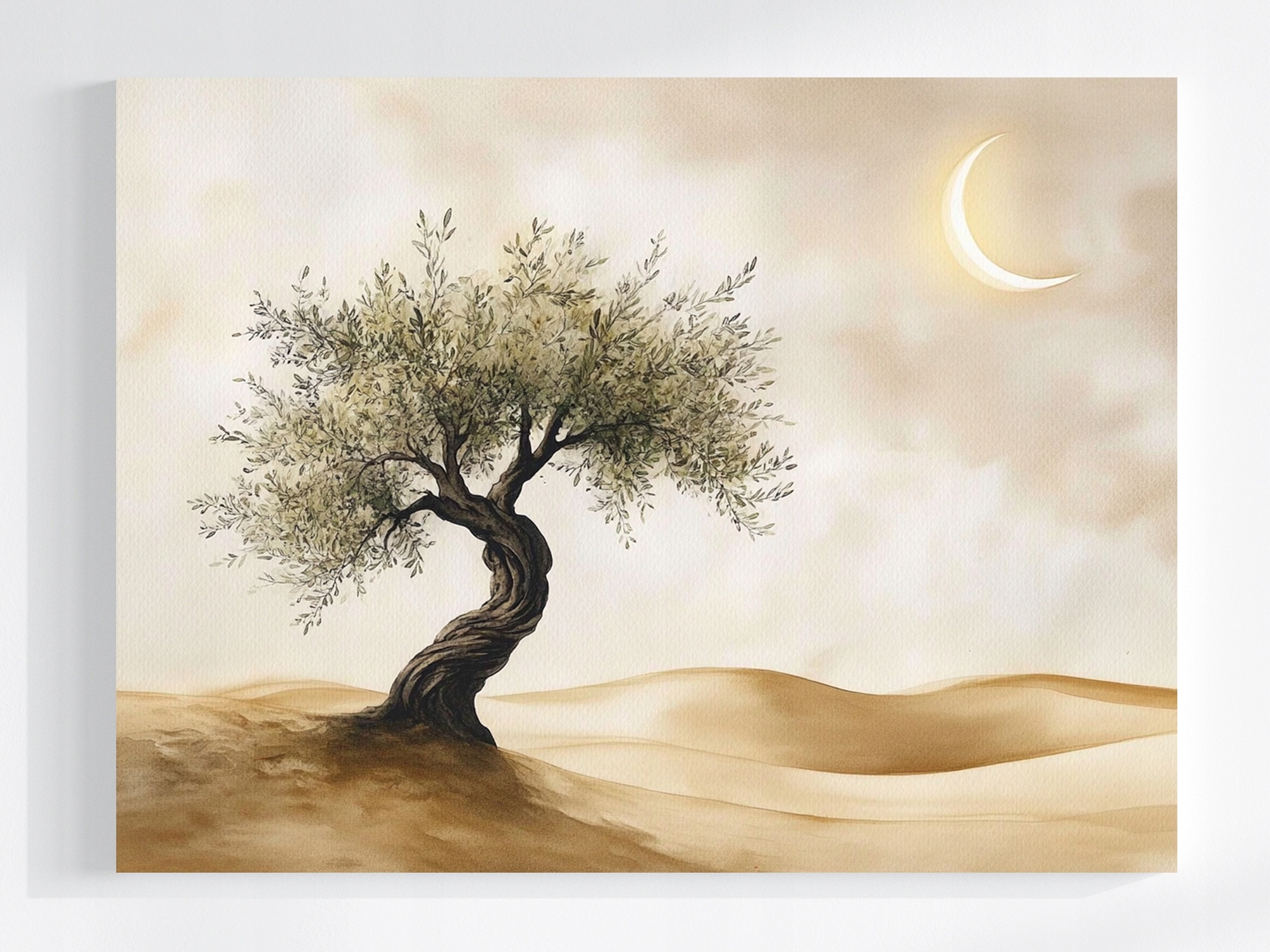 Obraz Na Plátně Canvas Příroda Poušť Dřevo Oliva Měsíc Nový 100x75