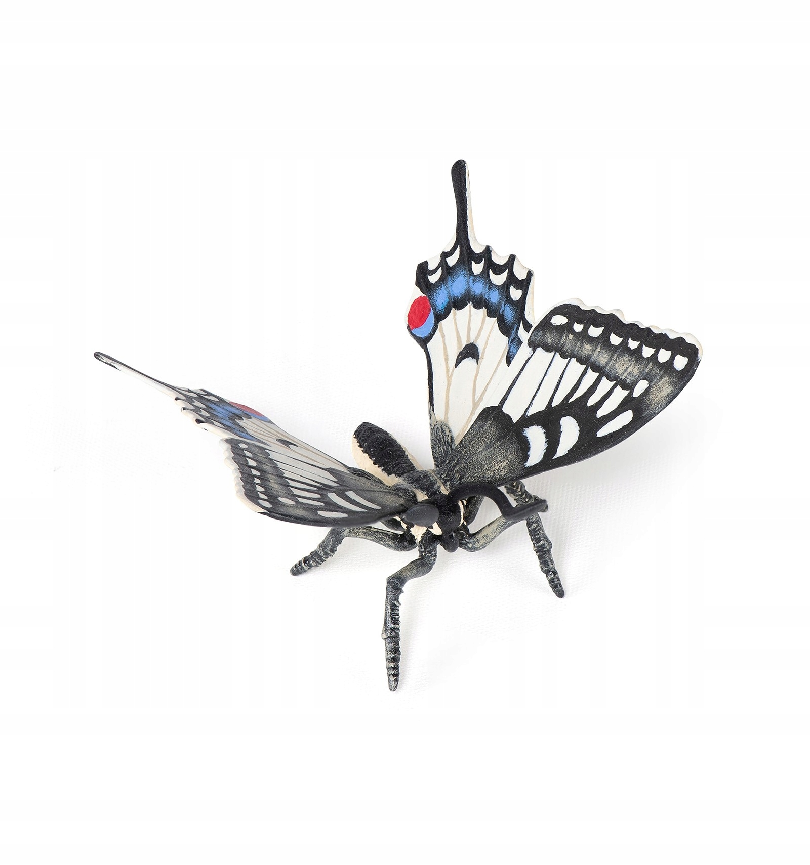 

Motyl Jaskółczy -Swallowtail Butterfly- PAPO-50278