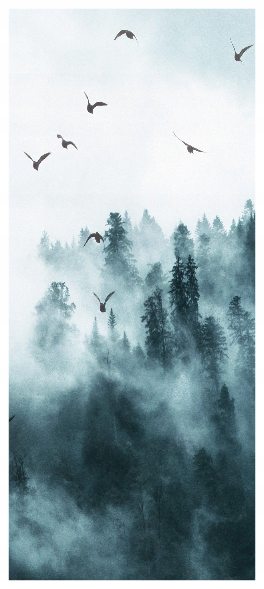 Samolepicí Samolepicí Fototapeta Les v mlze s ptáky krajina 91x211