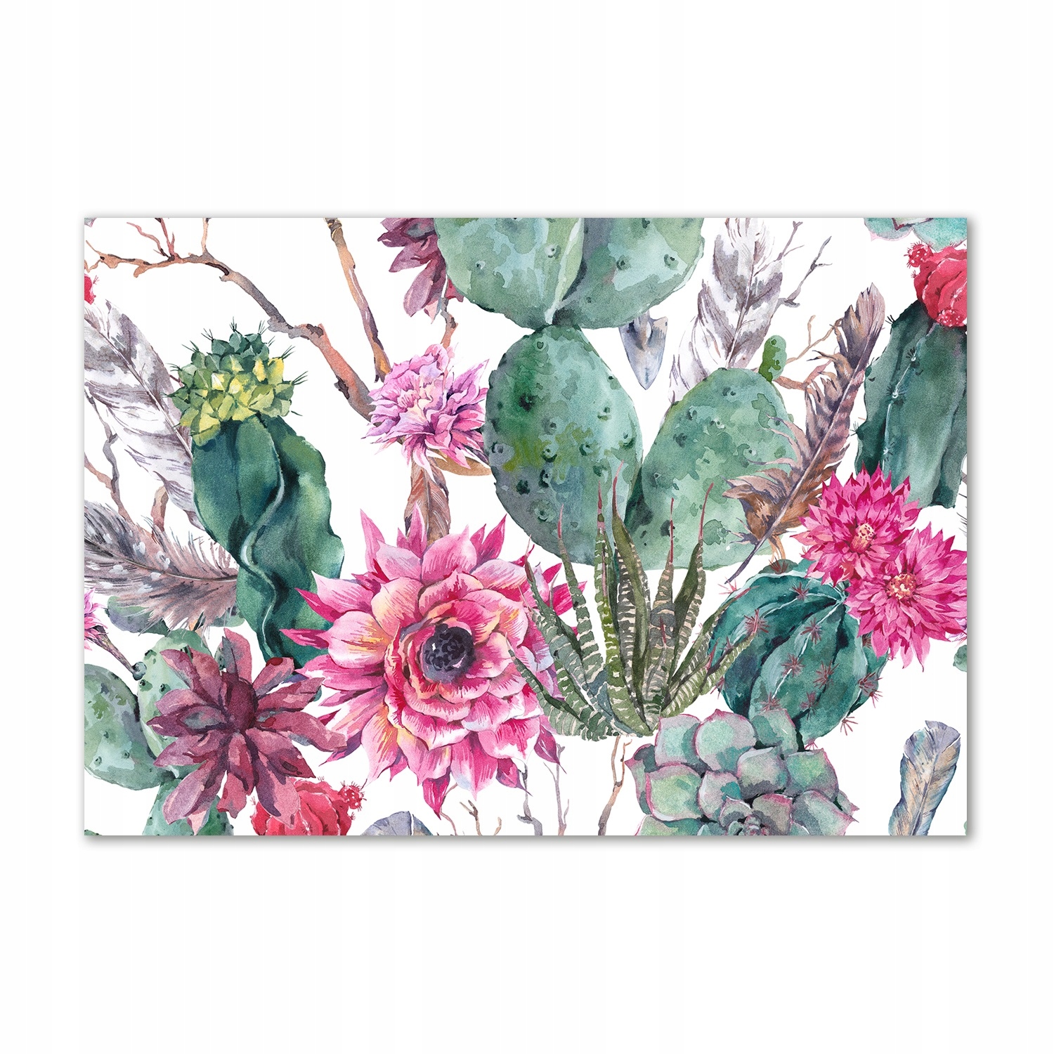 

Obraz zdjęcie szkło akrylowe Kaktusy duży 100x70cm