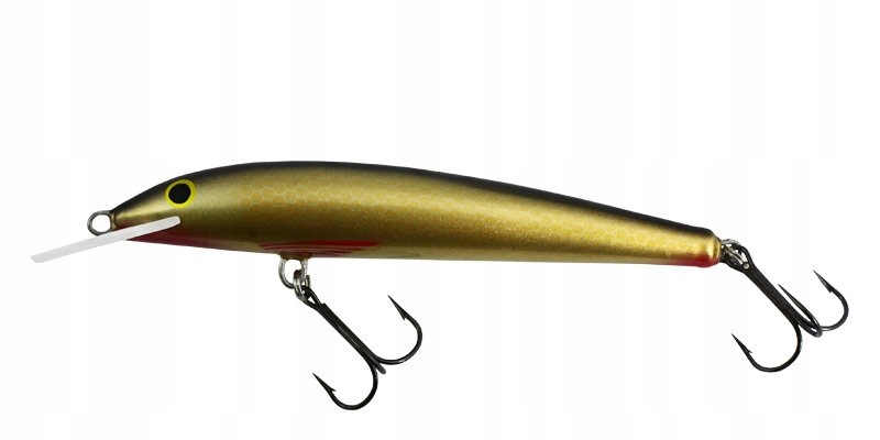 Wobler Gloog Nike 100 Ng