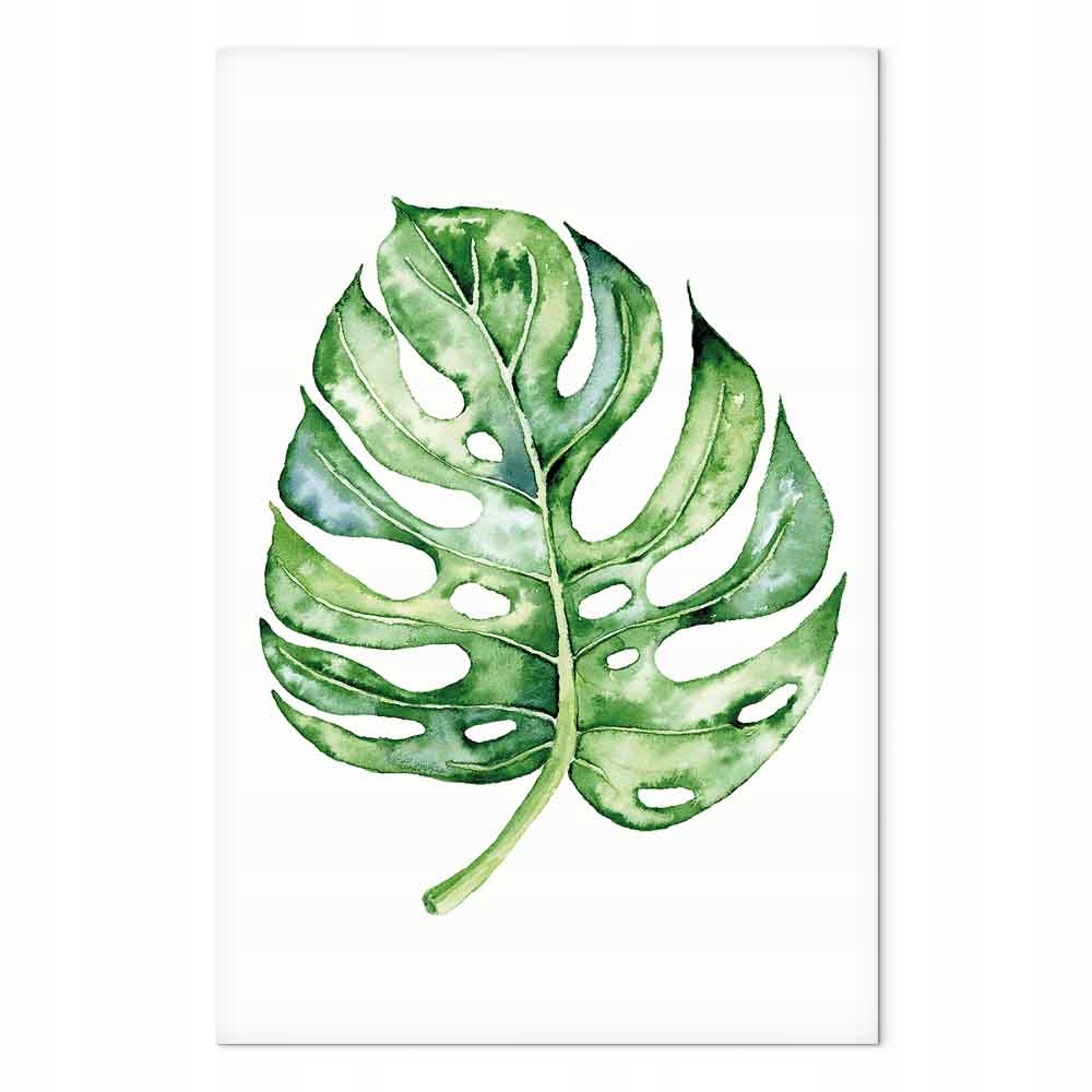 Obraz na plátně Akvarel Příroda Rostlina Monstera List 80x120 cm