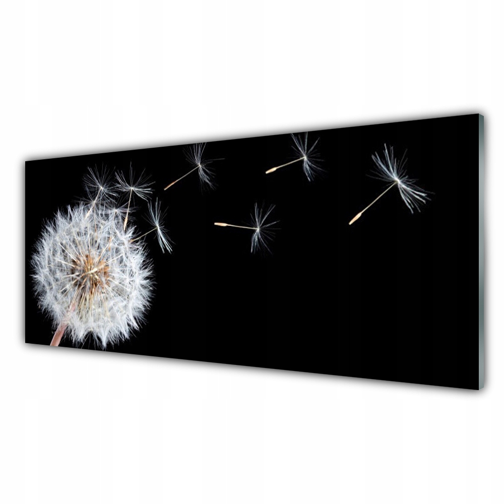 

Fotoobraz wiszący 125x50 Dmuchawiec Kwiaty Natura