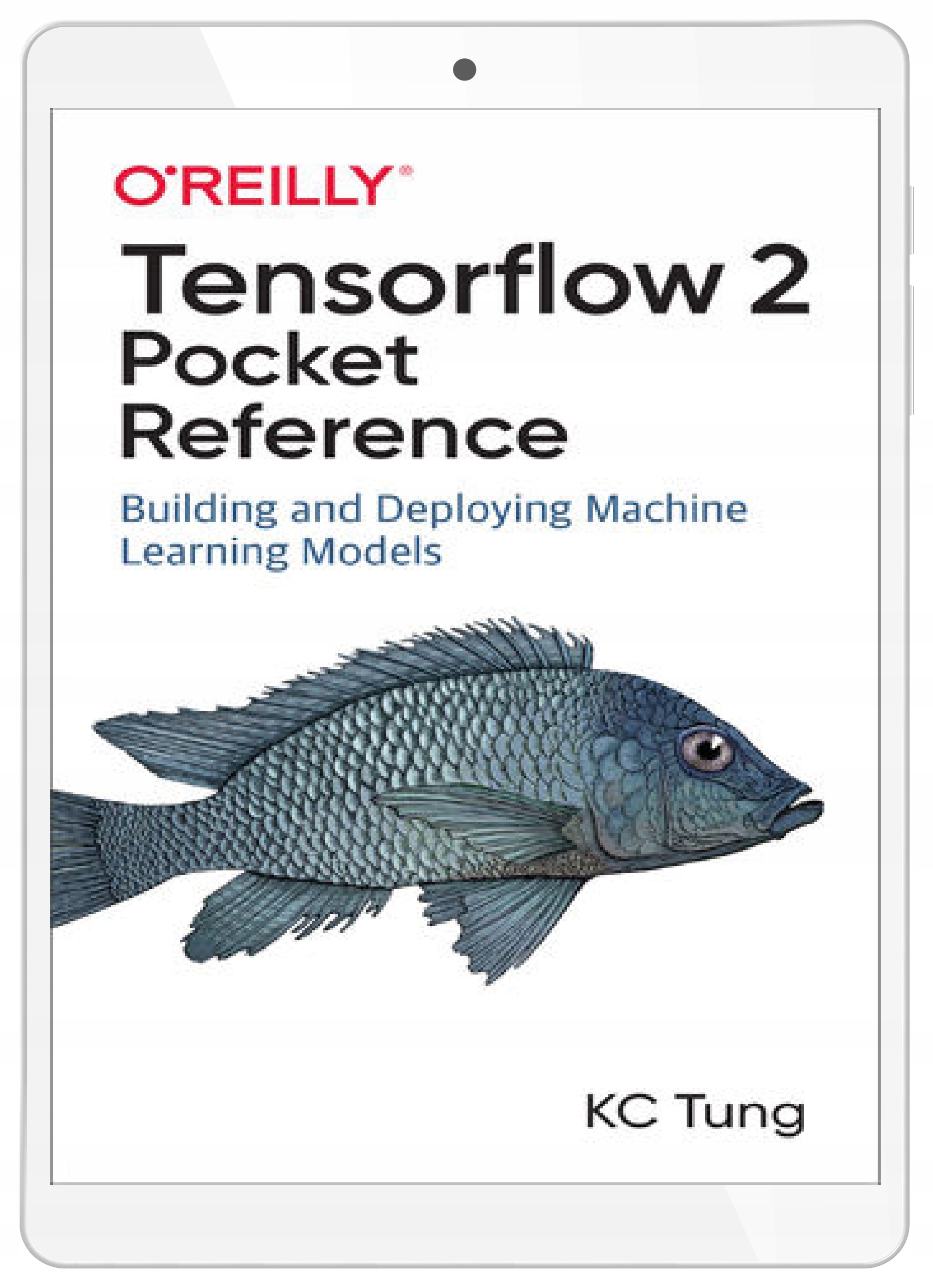 TensorFlow 2 Pocket Reference