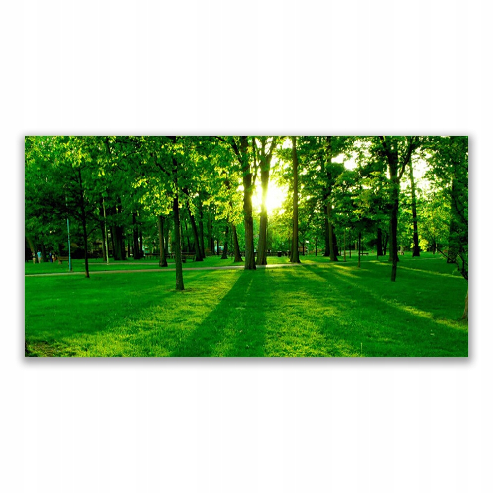 

Obraz na ścianę z nadrukiem 120x60 Las Park Natura