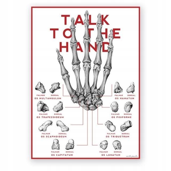 Plansza anatomiczna ręka Talk To The Hand