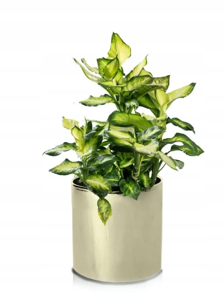 DONICZKA PREMIUM WALEC ZŁOTA 8x8CM ŚREDNICA GOLD Materiał ceramika