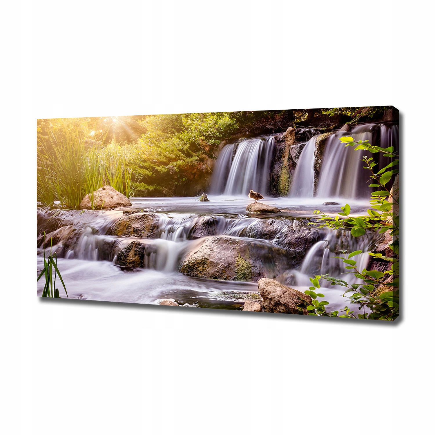 

Foto obraz canvas na ścianę Wodospad 120x60 cm
