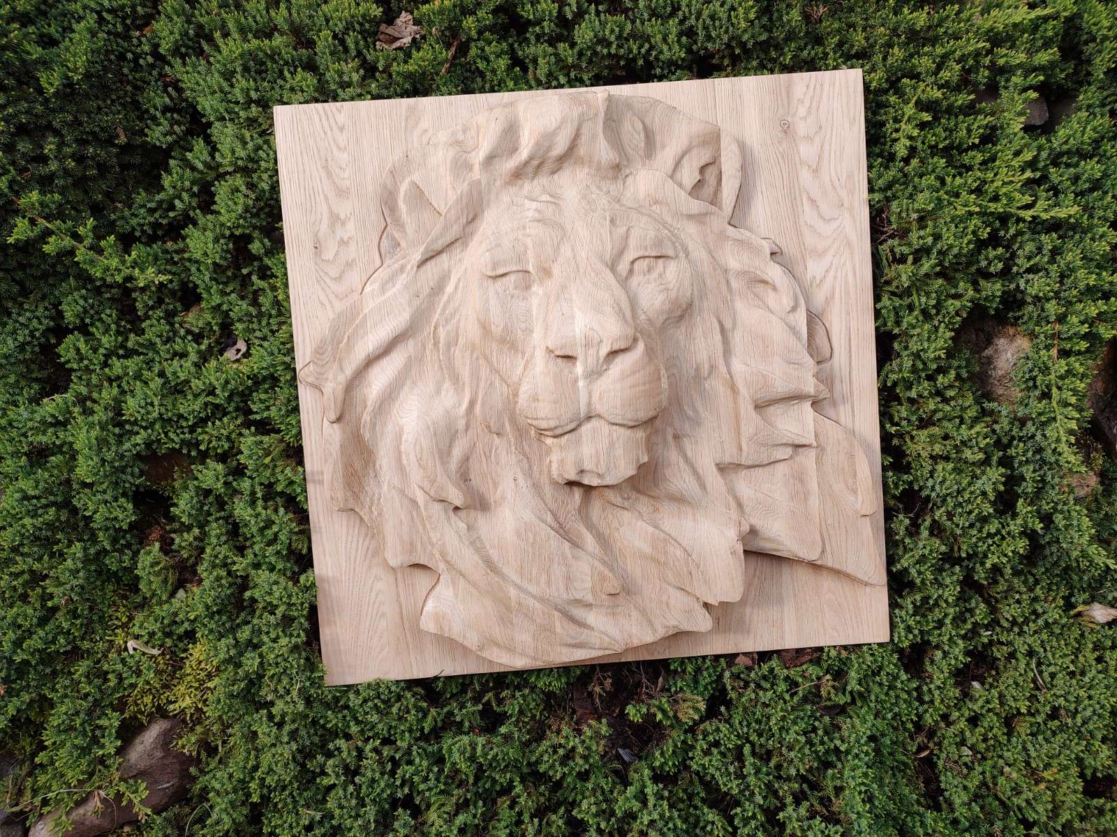 Obraz reliéf ve dřevě hlava lva 40 cm