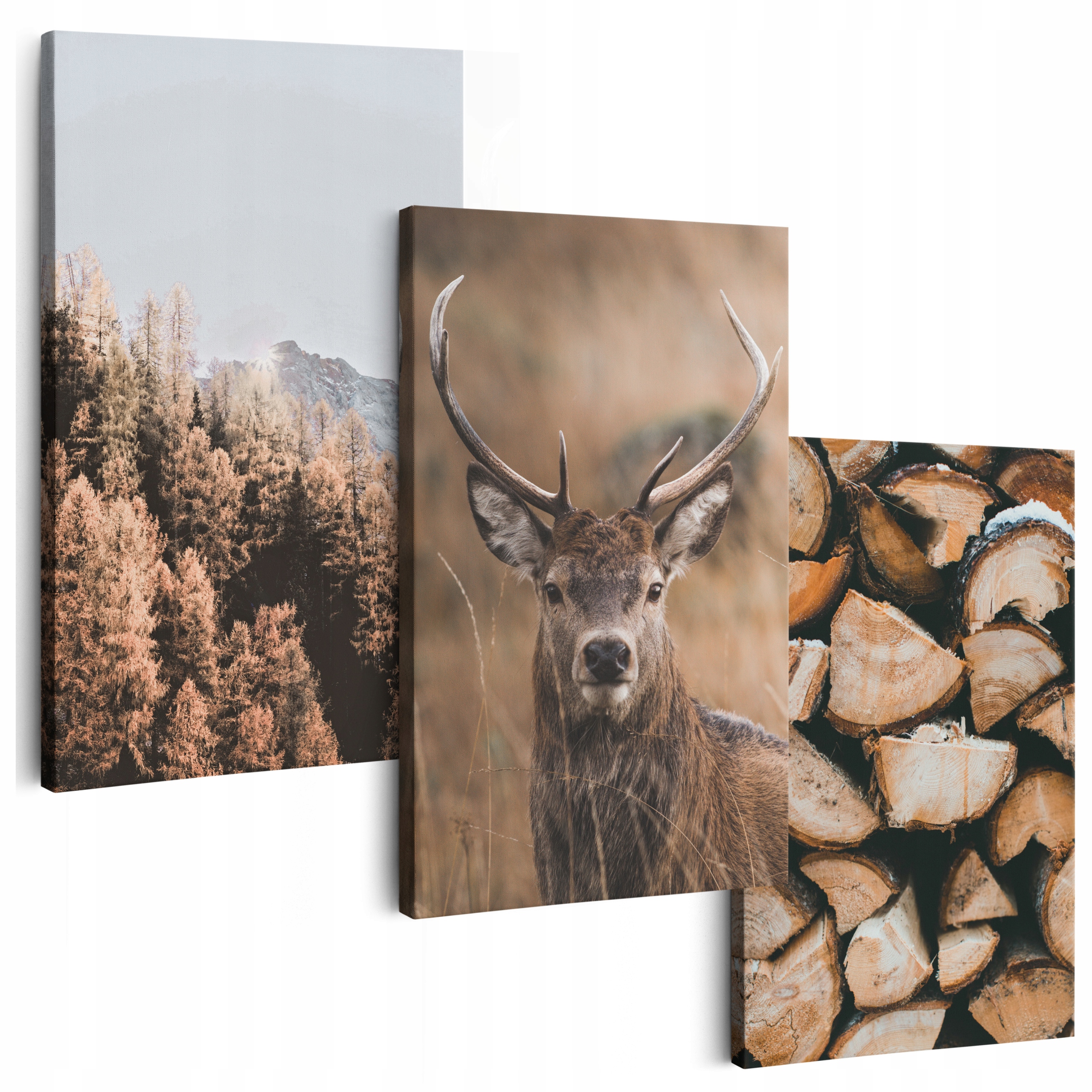 Obraz Na Plátně 180 cm *mnoho vzorů* Obrazy Do Obývacího Pokoje Na Zeď Triptyki