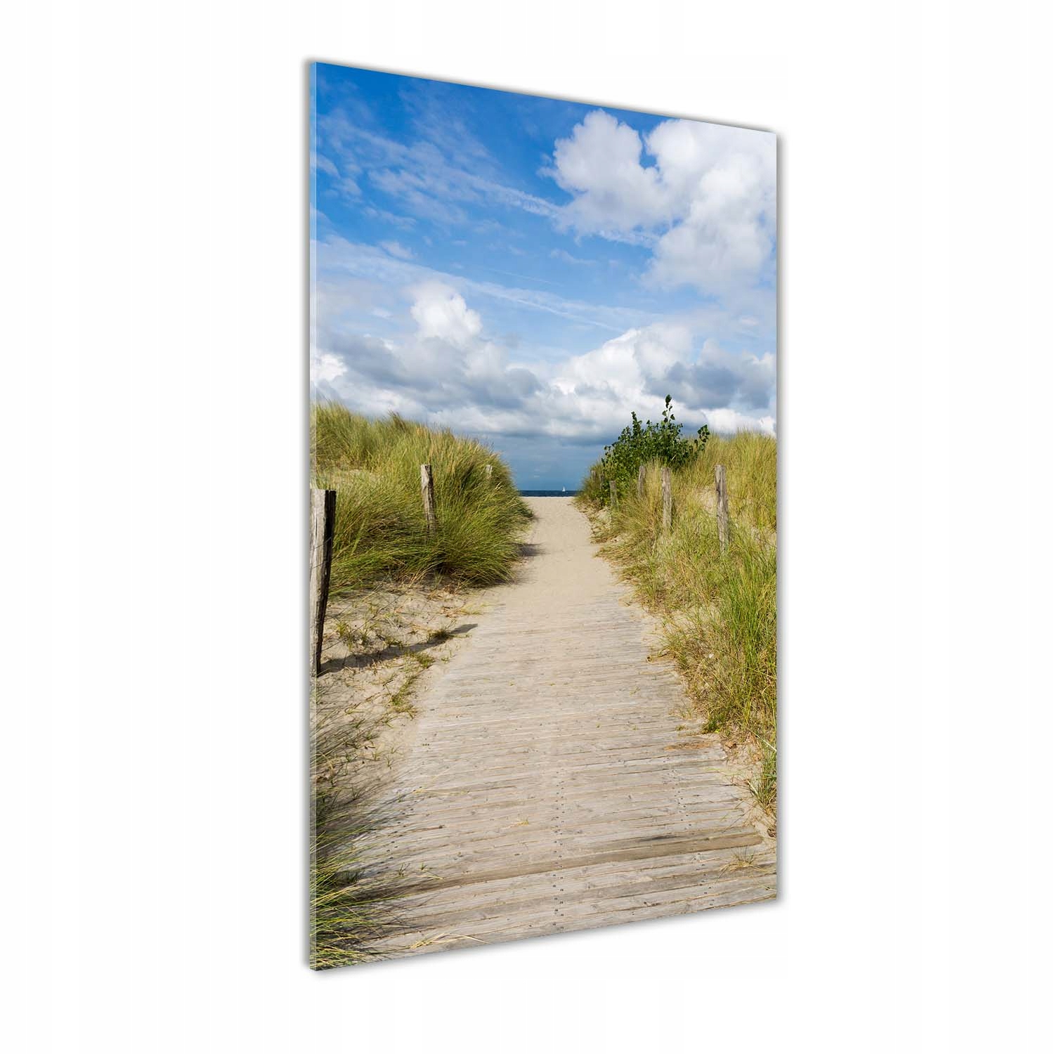 

Foto obraz szkło akrylowe Ścieżka na plażę 70x140