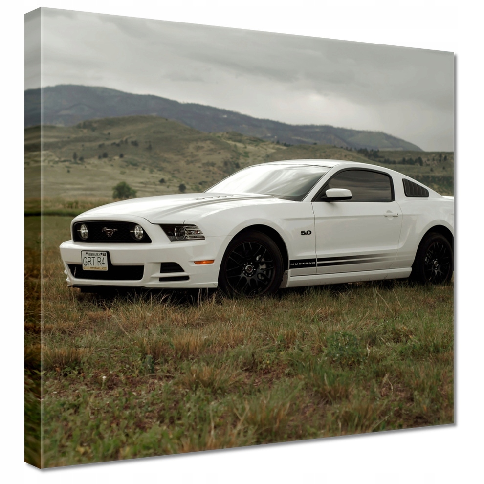 

Obrazy 50x50 Biały Ford Mustang