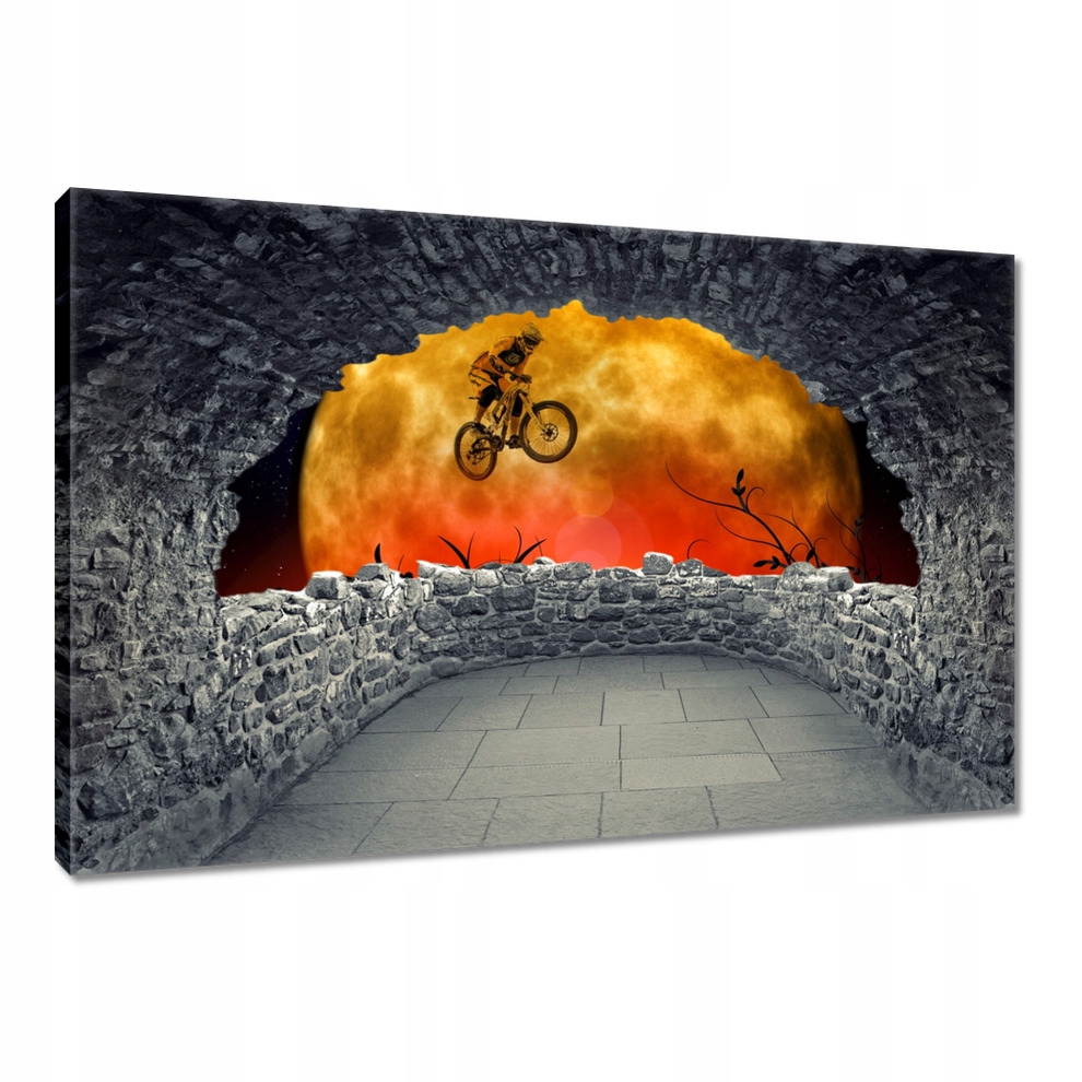 

Obrazy 120x80 Motocyklista na Księżyc