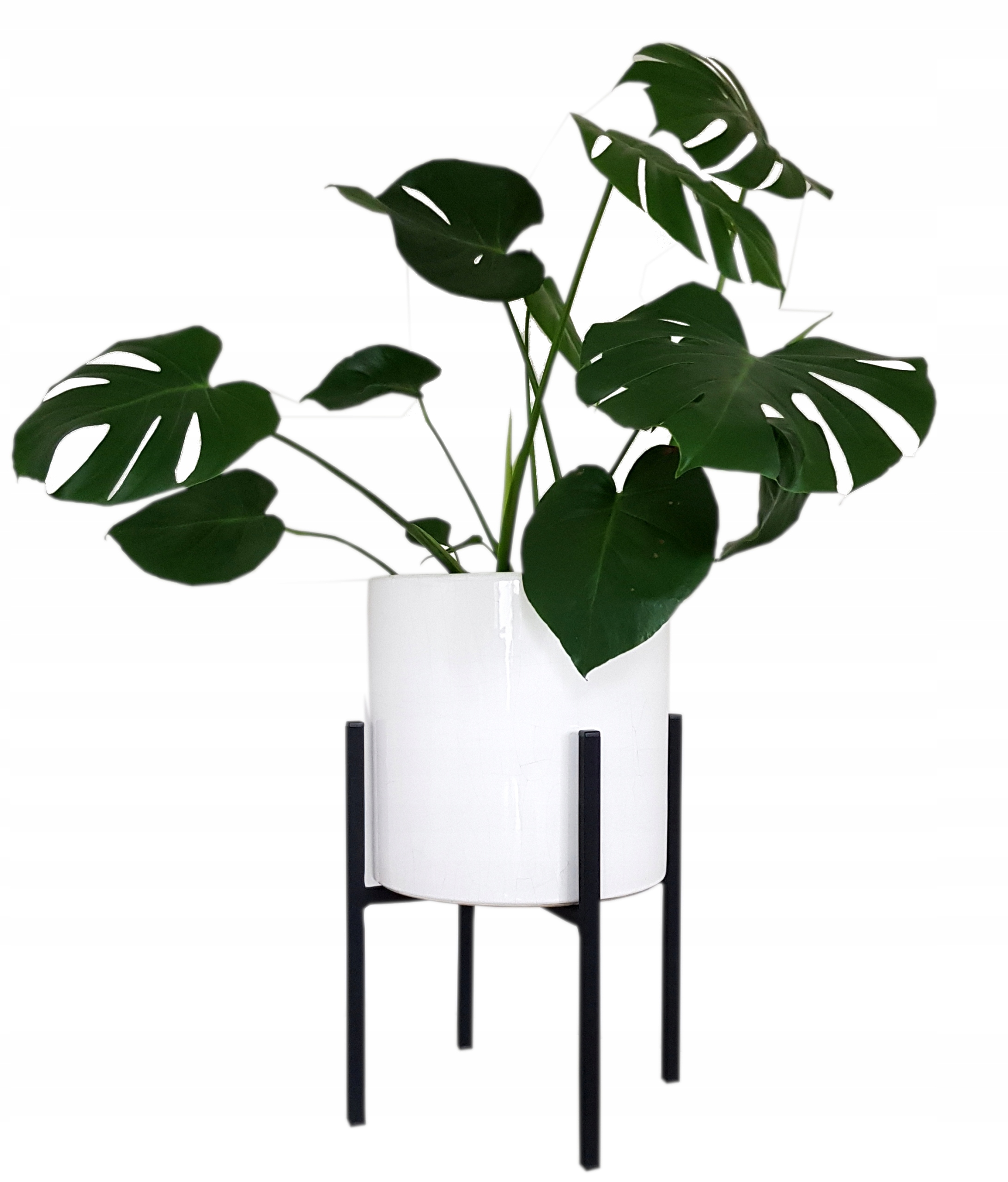 

Kwietnik Metalowy Stojak Na Kwiaty Nowoczesny