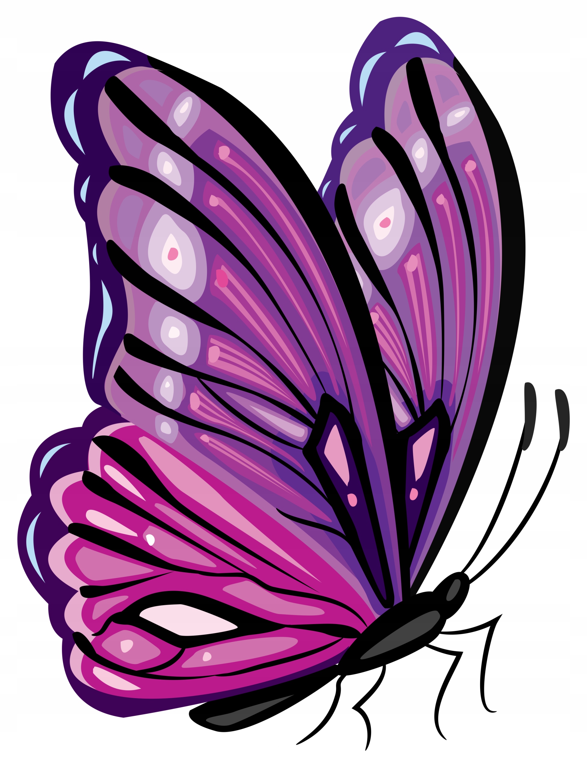 

Naklejka Na Okno Meble Lustro Motylek Motyl