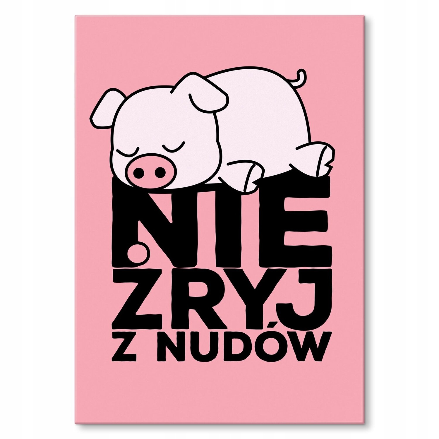 Kovový plakát Nesžírej z nudy Dárek 42 x 59 cm