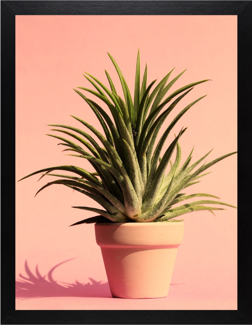 

Ramka na zdjęcia 30x40 czarna ramki Mdf