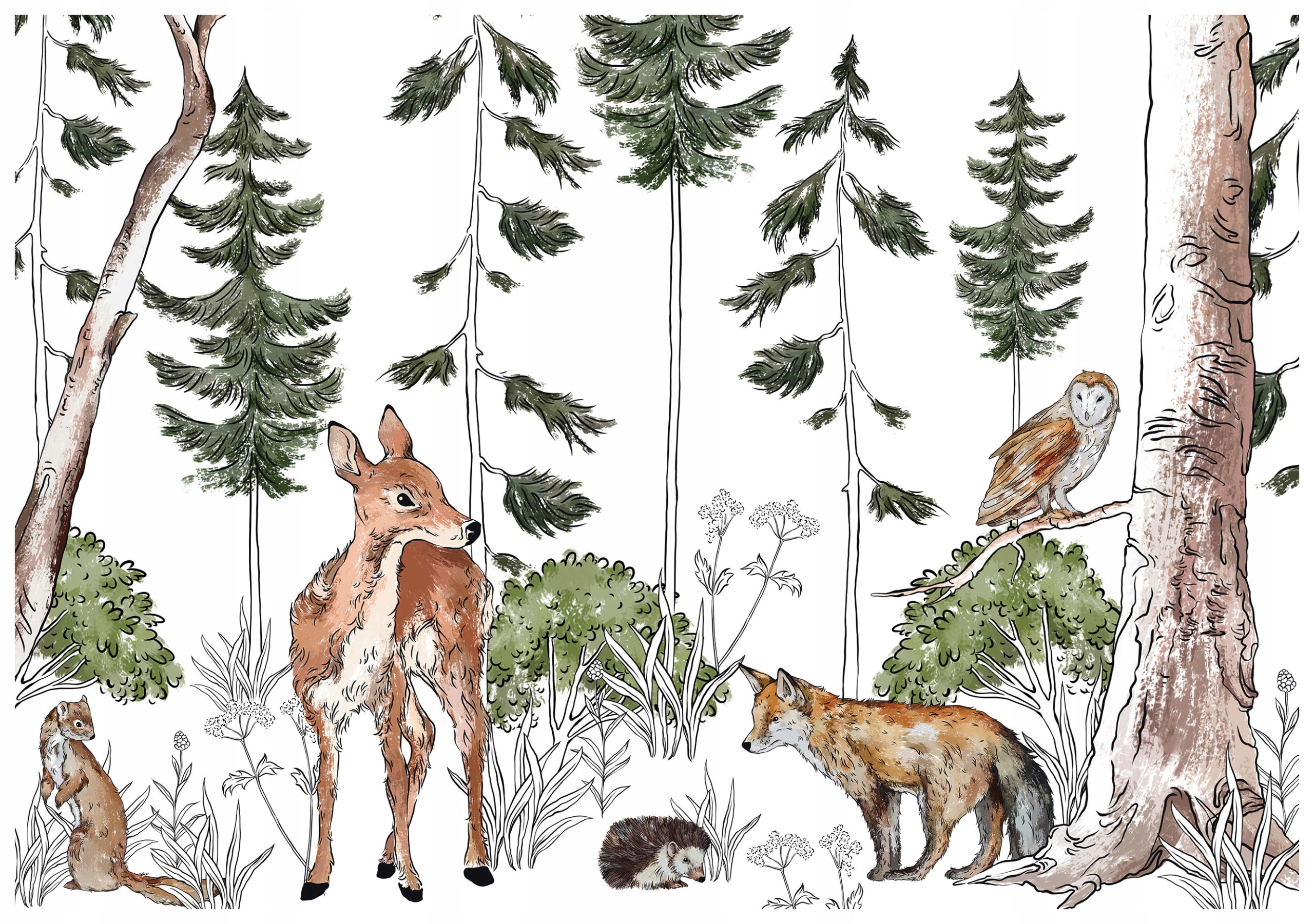 Fototapeta Lesní lesní přátelé Zvířata Liška Sova Ježek 300x210 lepidlo