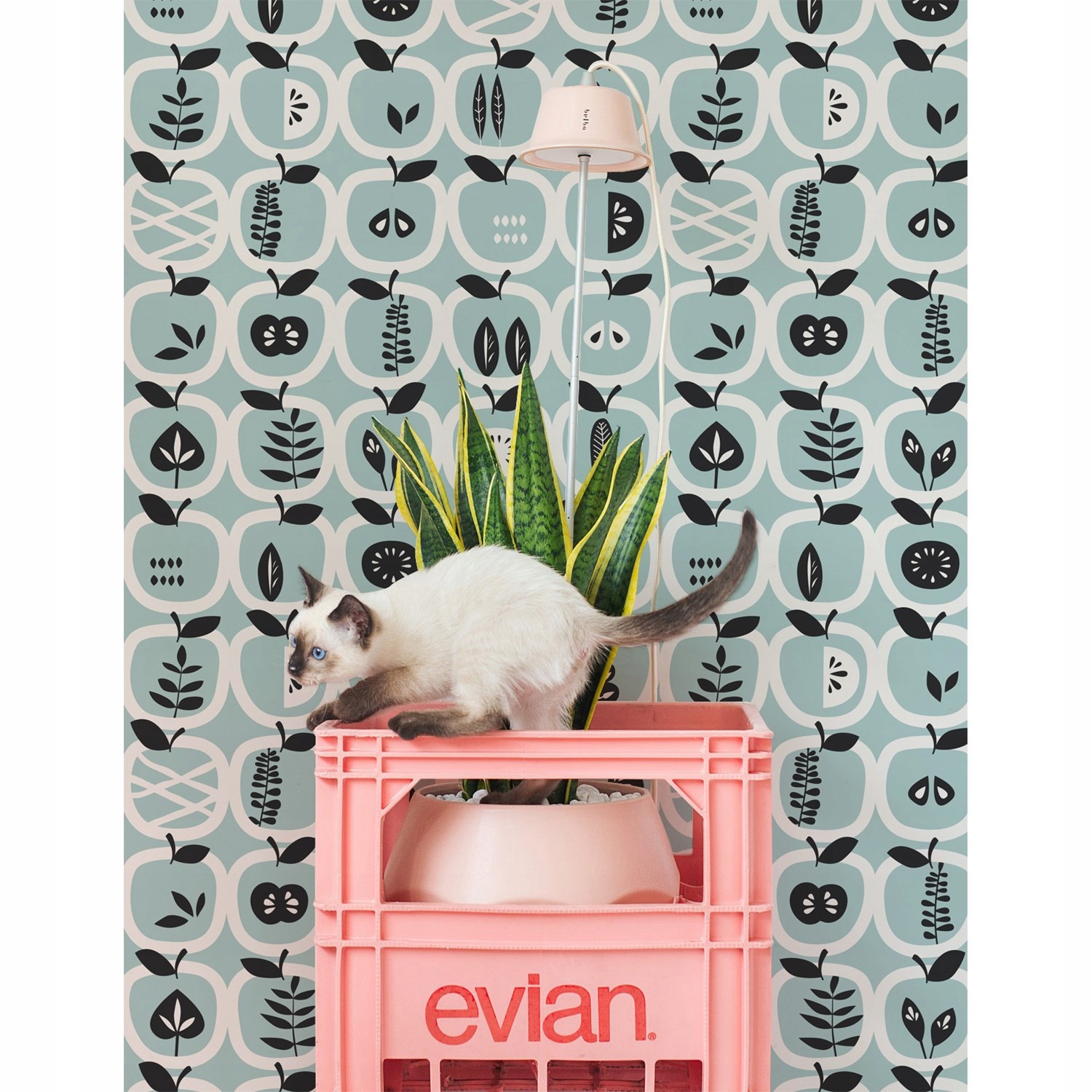 

Flizelina tapeta Dzieci niebieski jabłko 104x70cm