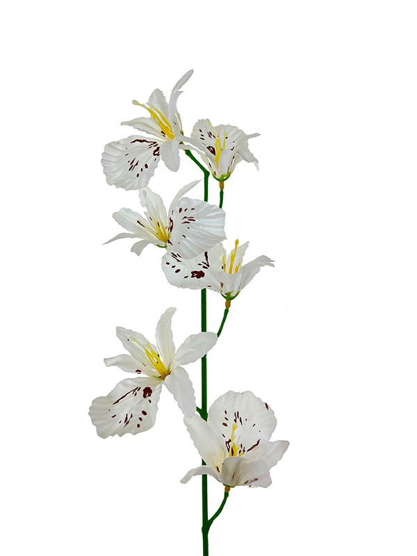 

Storczyk satynowy na gałązce L1003 biały 65cm