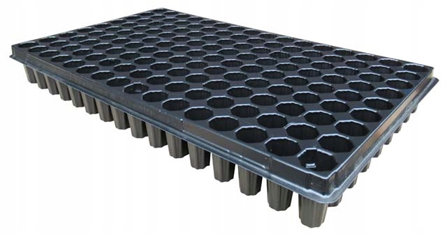 WIELODONICZKA WD30x30x60 144 kwadrat ROZSADOWA