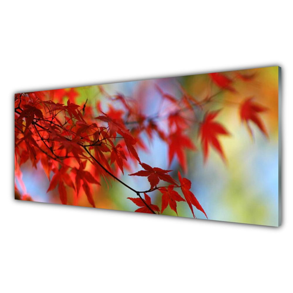 

Obraz akryl z grafiką ścienny 125x50 Liście Natura