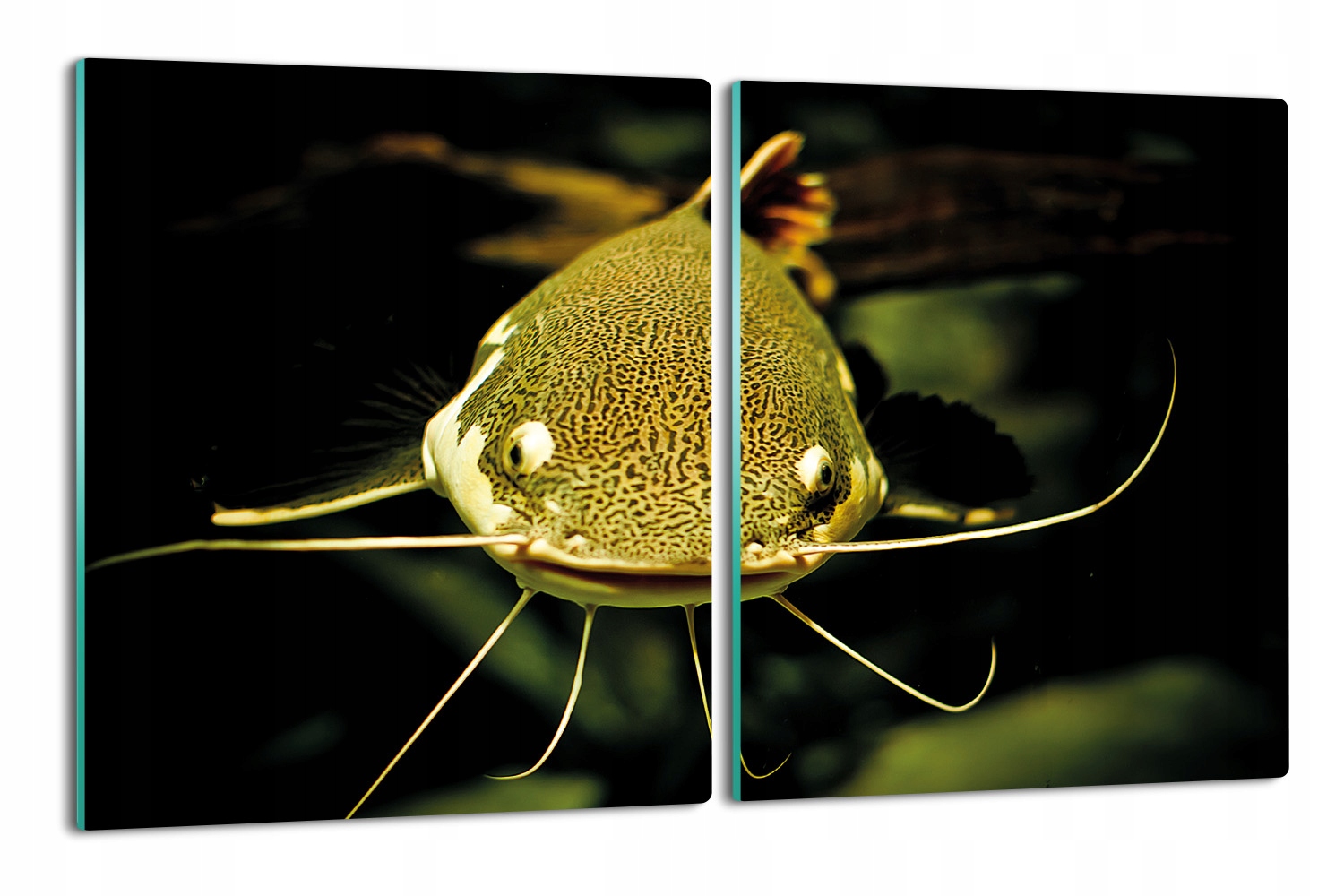 tisk splashback 2x 40x52 s potiskem Rybí akvárium
