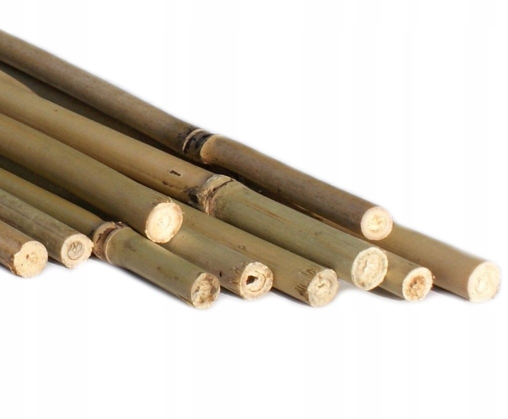 TYCZKA BAMBUSOWA PODPORA 120 12-14mm PALIK 10szt Producent BIG