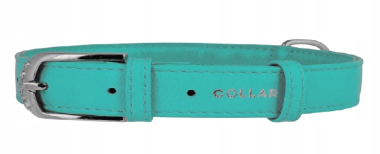Levně Obojek Pro Psa Z Kůže Waudog Collar 15MM27-36CM Tyrkysový Silný