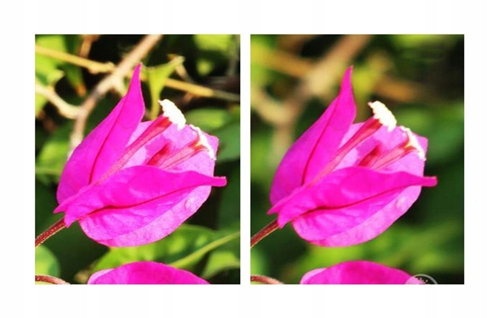 SUNNYLIFE ZESTAW FILTRÓW ND16 / 64 / 256 DO KAMERY SPORTOWEJ OSMO POCKET 3 Model OP3-FI736