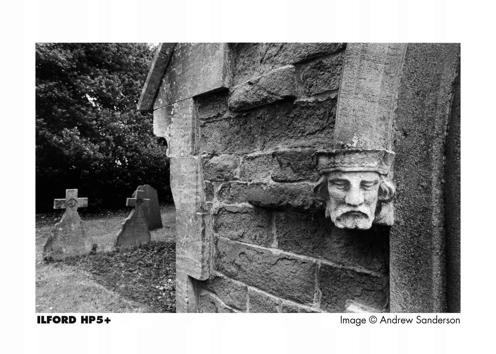 Film czarno-biały ILFORD HP5+ ISO 400 średni format Model HP5 Plus