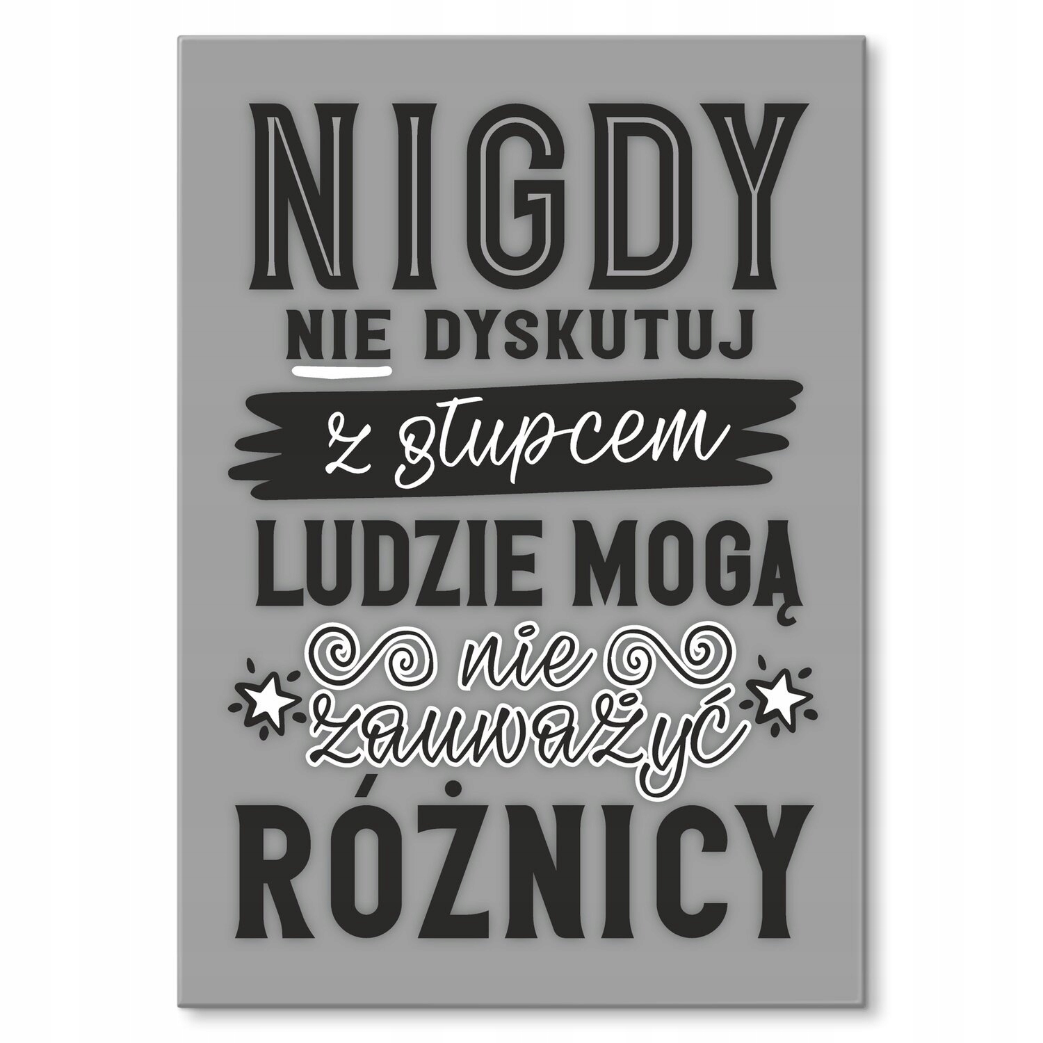 Kovový plakát nediskutujte s bláznem Šidítko Plech 42 x 59,4 cm Dárek