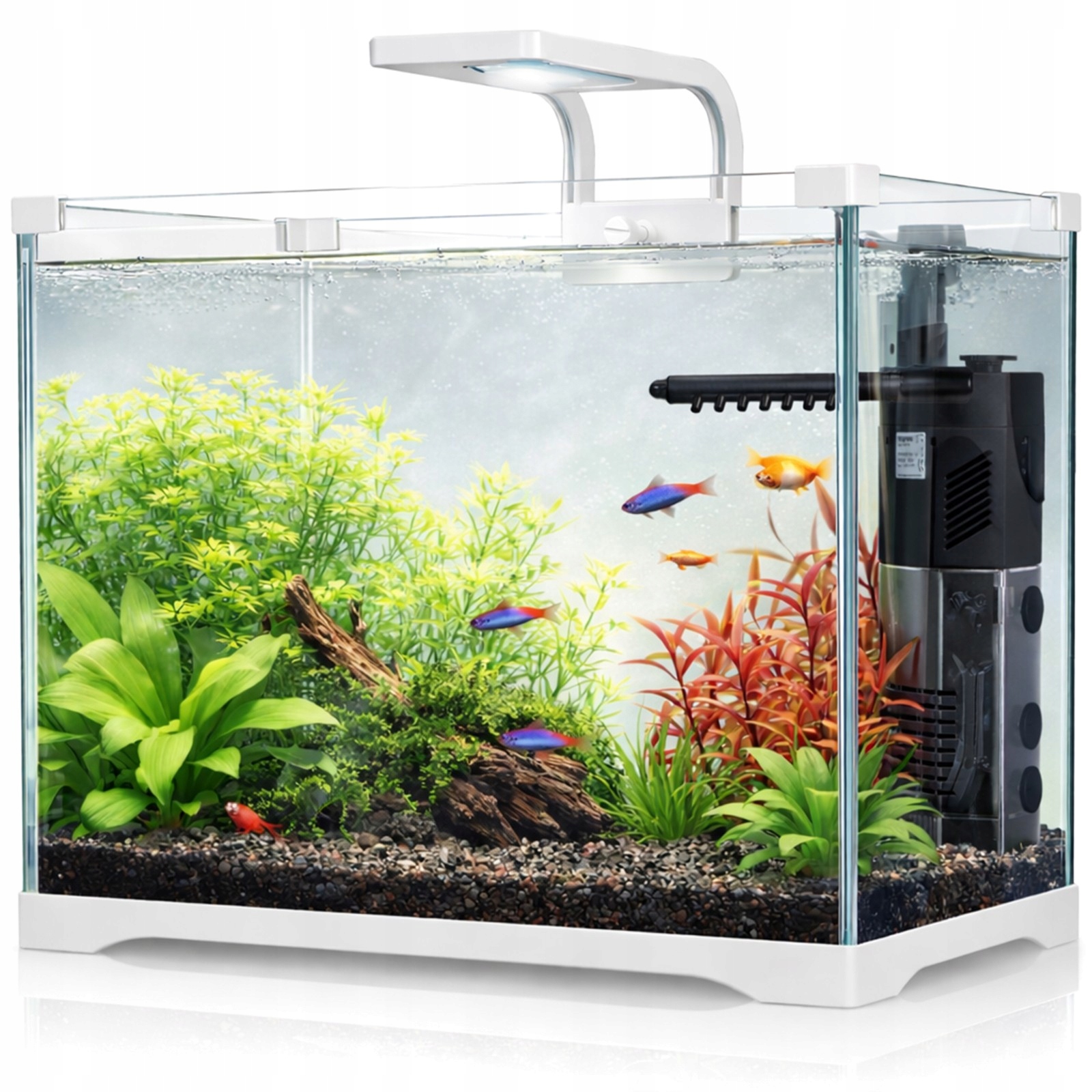 Kompaktowe Krewetkarium 25L Led Filtr Nowoczesny Zestaw Akwarium do domu