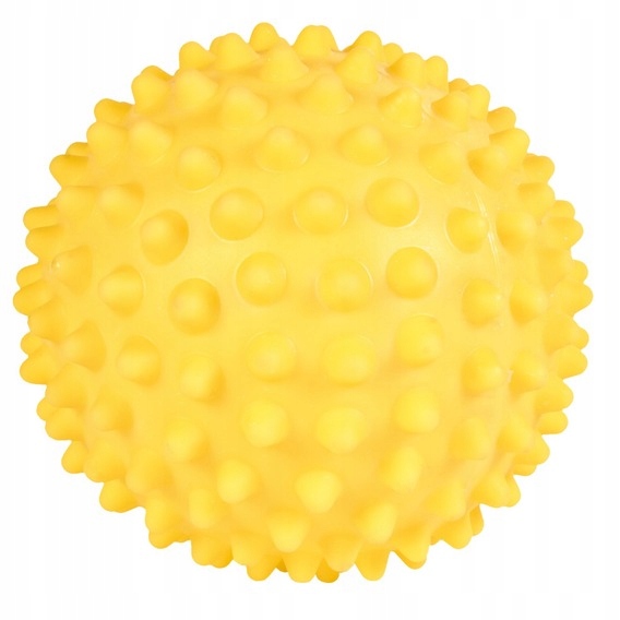

Trixie Piłka jeżowa pompowana różne 16 cm