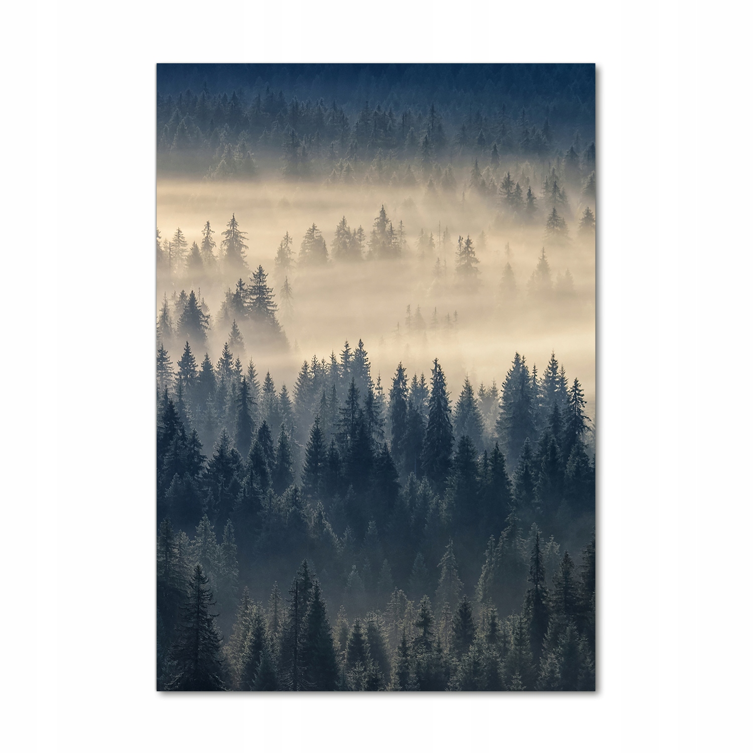 

Foto obraz zdjęcie na szkle Mgła nad lasem 70x100