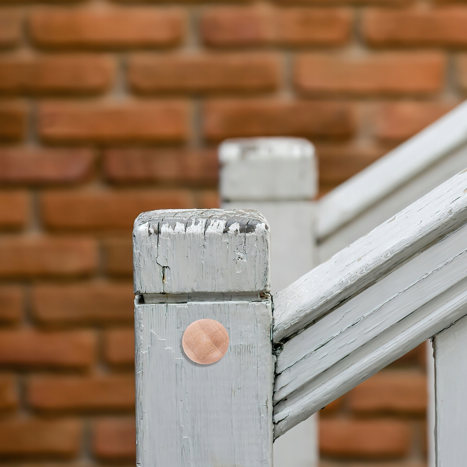 Zatyczki do śrub z drewna Producent inna