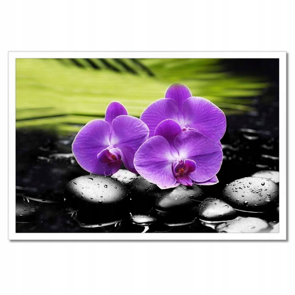 Plakáty v rámu 60x40 Orchideje na kamenech