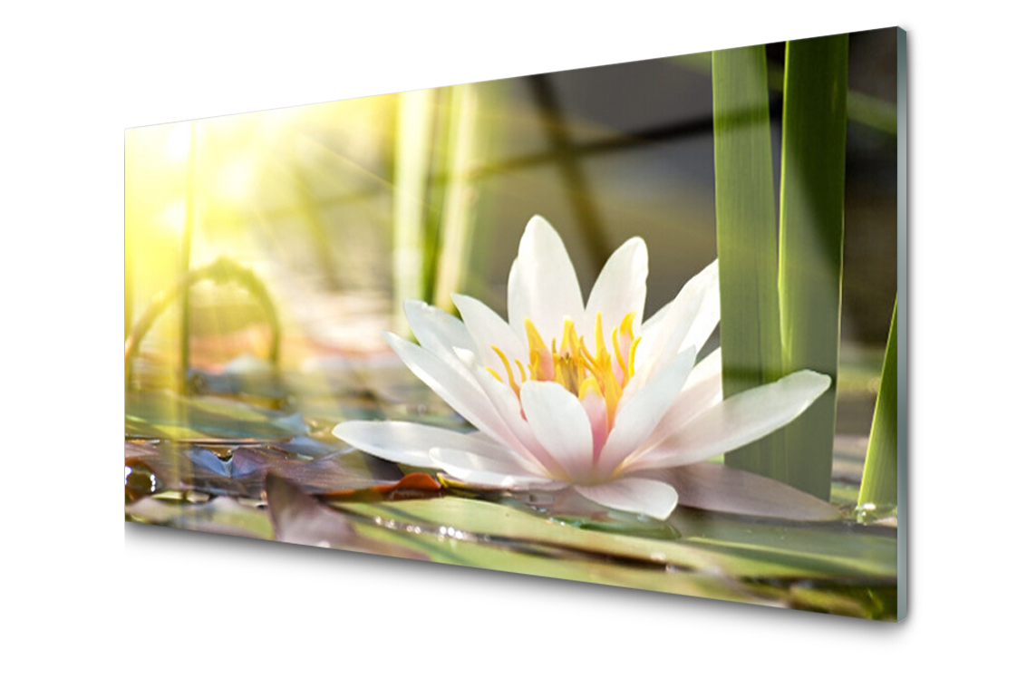 

Panel szklany Płytka Kwiat Lilia Wodna 120x60