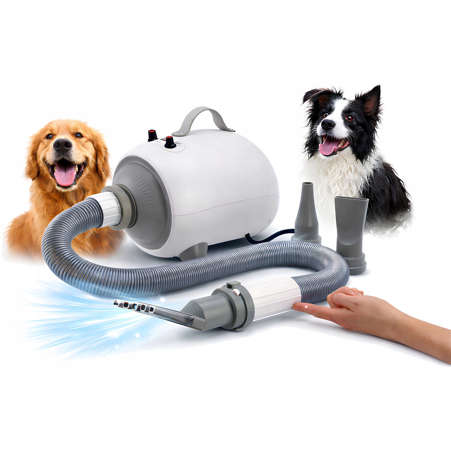 Profesjonalna Suszarka Dla Psa Kota Zwierząt Do Sierści Włosów Grooming