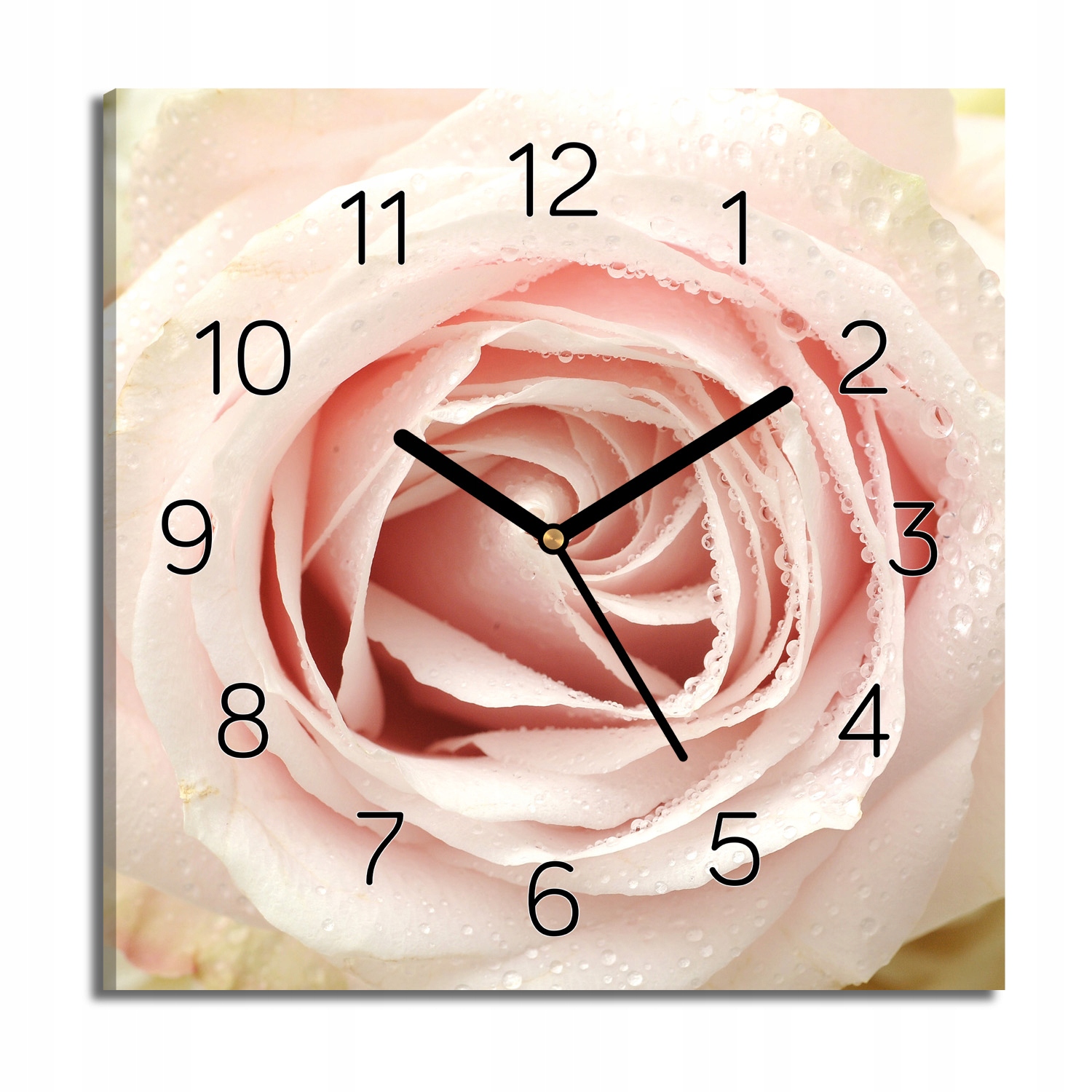 hodiny na obraze Růže pupen rosa do kuchyně 30x30