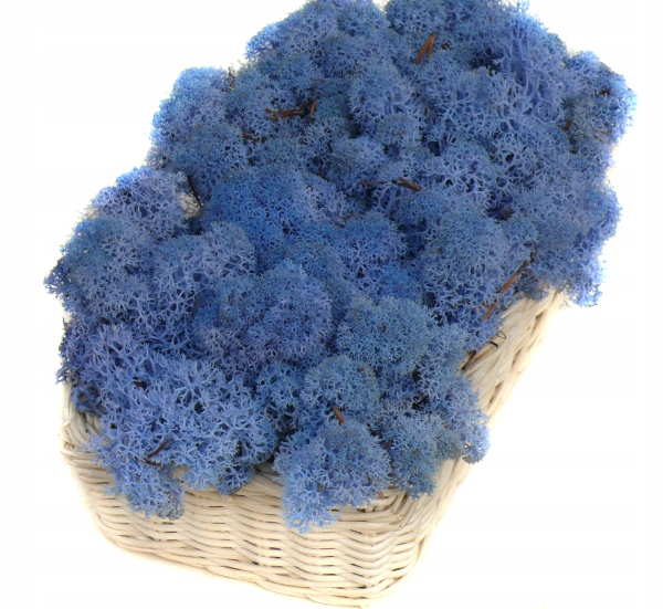 

Mech Chrobotek Reniferowy 200g Lavender