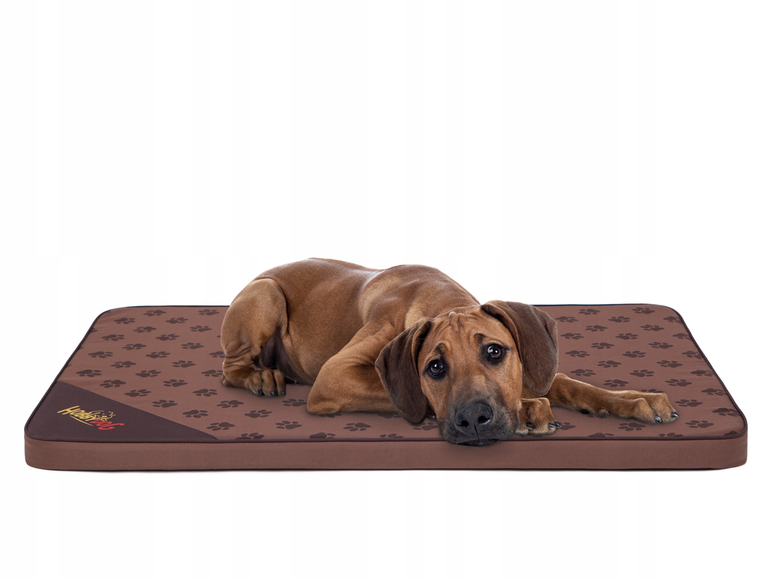 Levně Matrace Light, Pelíšek Postel kotec psa M 80x54 cm