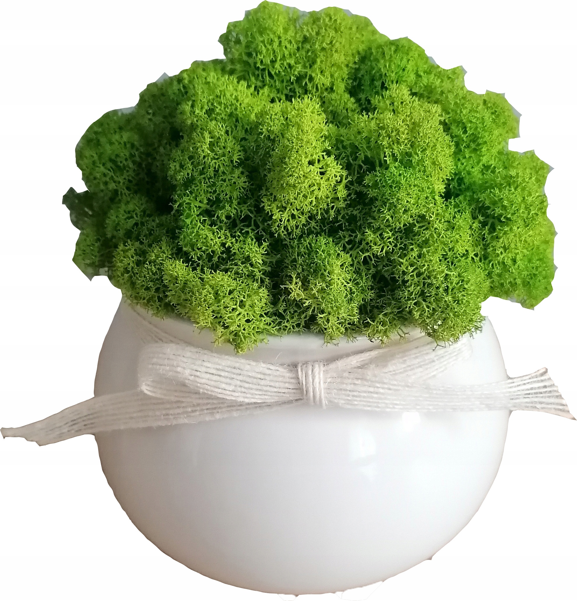 

Doniczka ceramiczna z mchem chrobotkiem, 14x10 cm